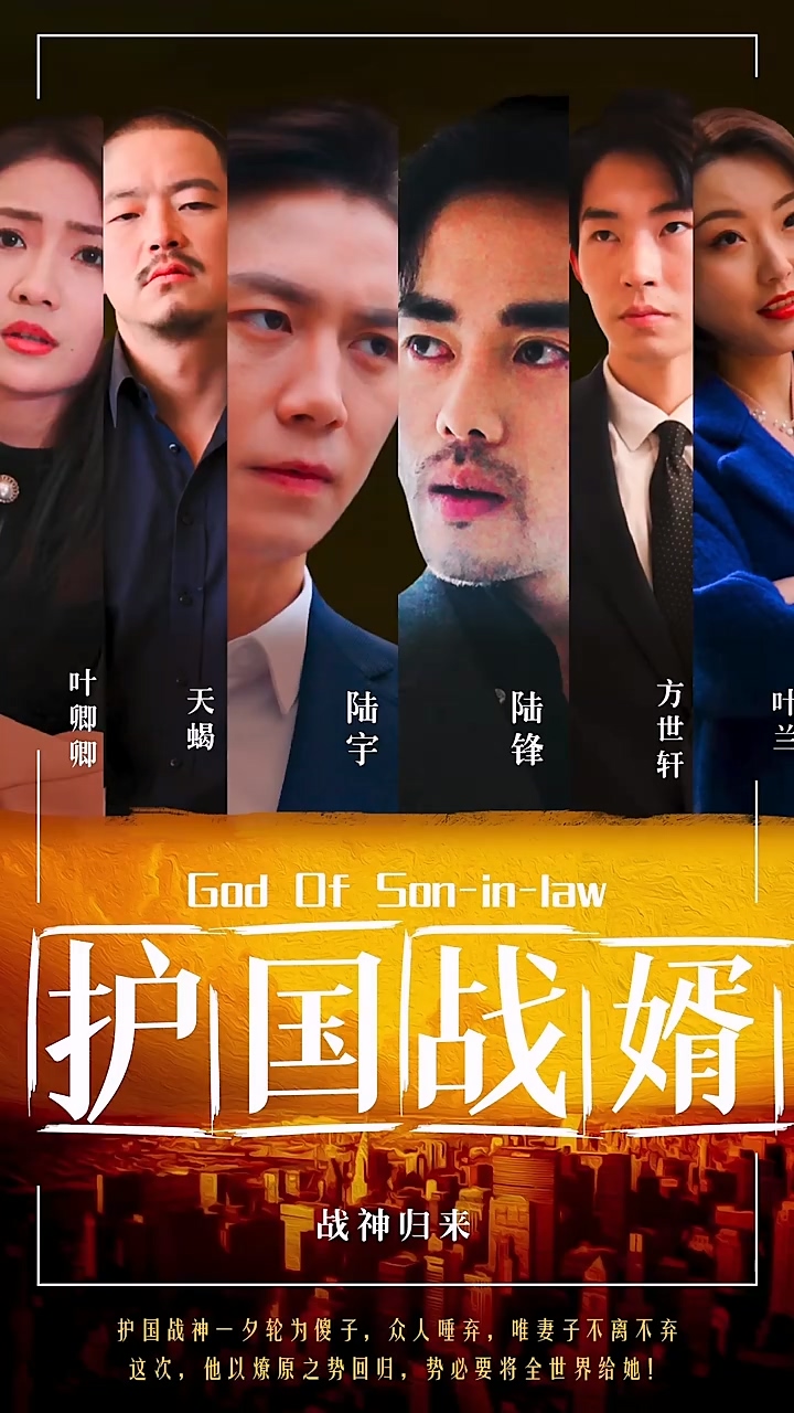 护国战婿第26集