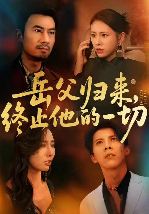 岳父归来，终止他的一切(全集)
