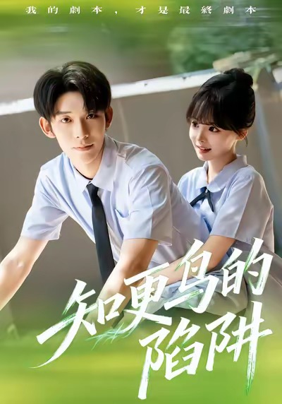 知更鸟的陷阱(全集)
