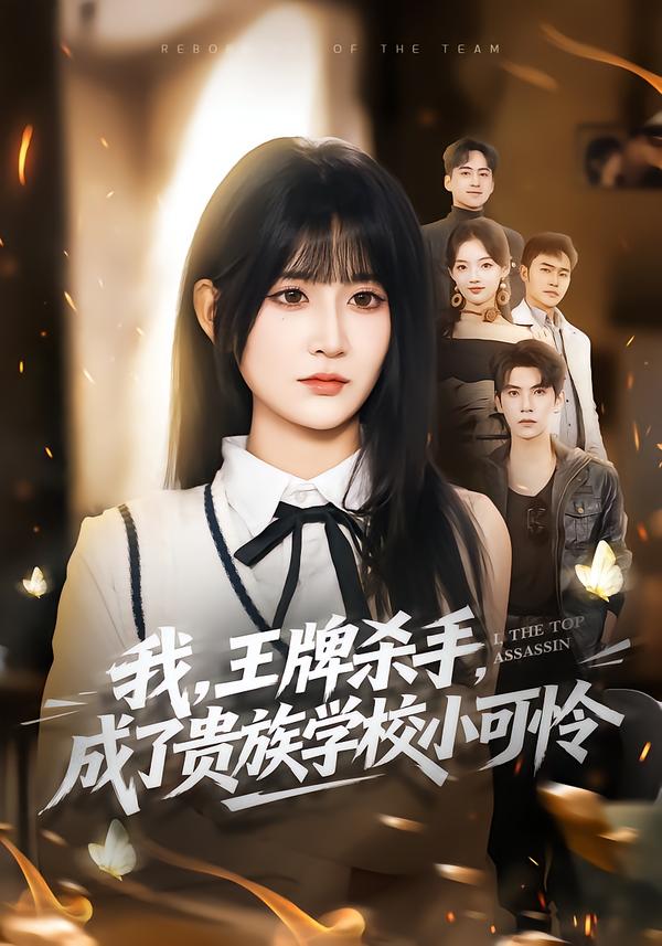 我，王牌杀手，成了贵族学校小可怜(全集)