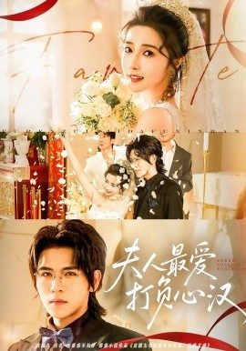 夫人最爱打负心汉(全集)