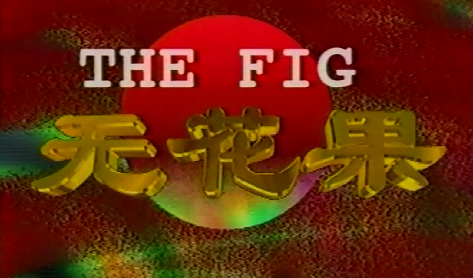 无花果1996(全集)